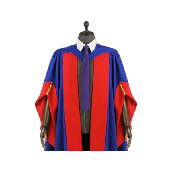 Deluxe Honorary Graduation Gown