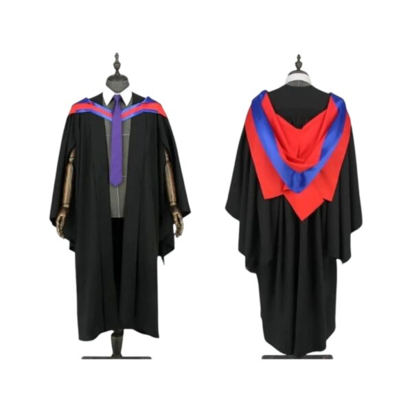 Deluxe Honorary Graduation Gown - Image 4