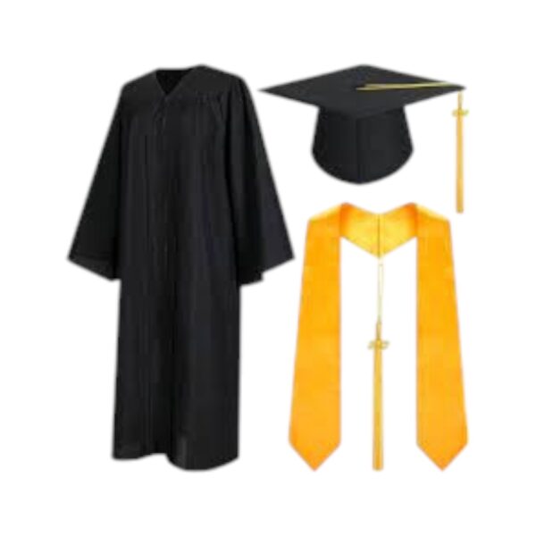 Executive Masters & PhD Graduation Gown - Image 6