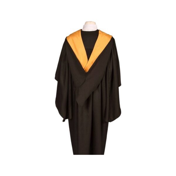 Premium Faculty-Specific Graduation Gown - Image 4